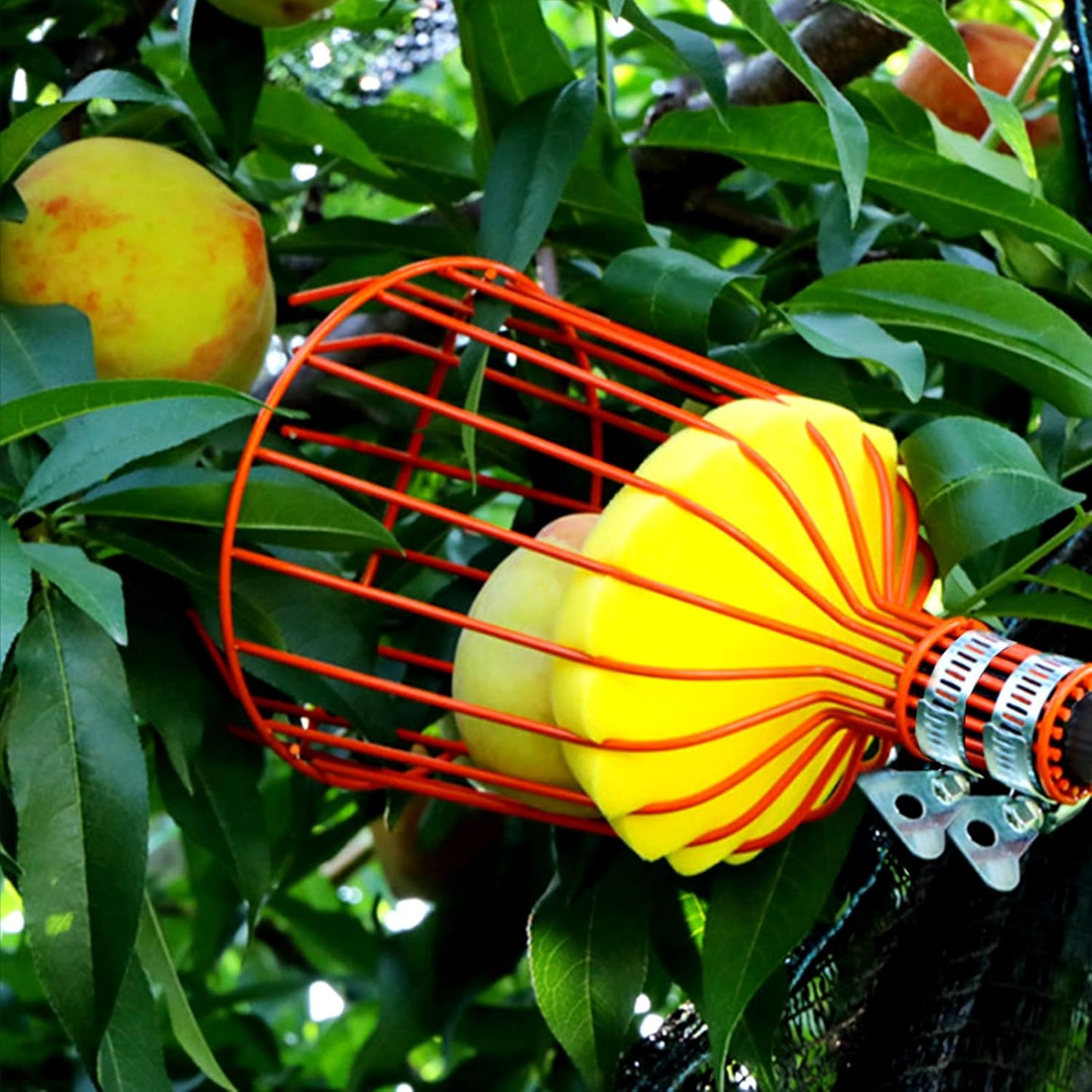 Obstpflücker, Obstpflückkopf, Metallpflückstab, Gartengeräte für Obstbäume, ohne Teleskopstange(rot)