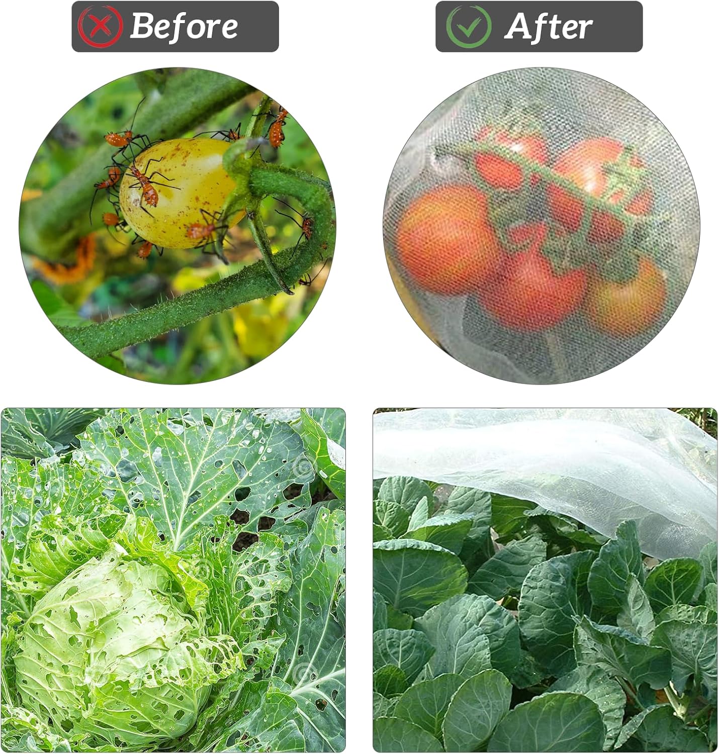 Insect protection net, garden net 3m x 5m, bird protection net, insect protection net for vegetable gardens, garden net to protect plants, vegetables and fruit